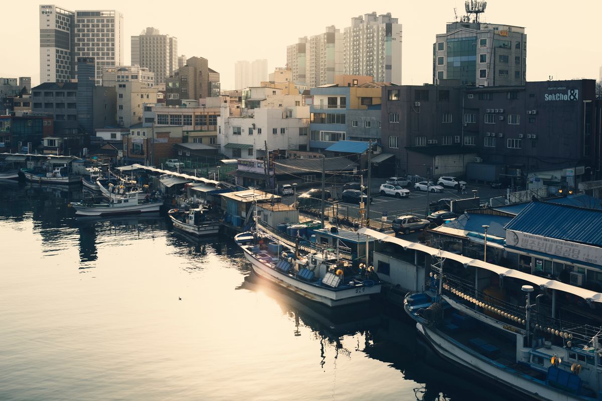 Eat Your Way Through Sokcho Jungang Market