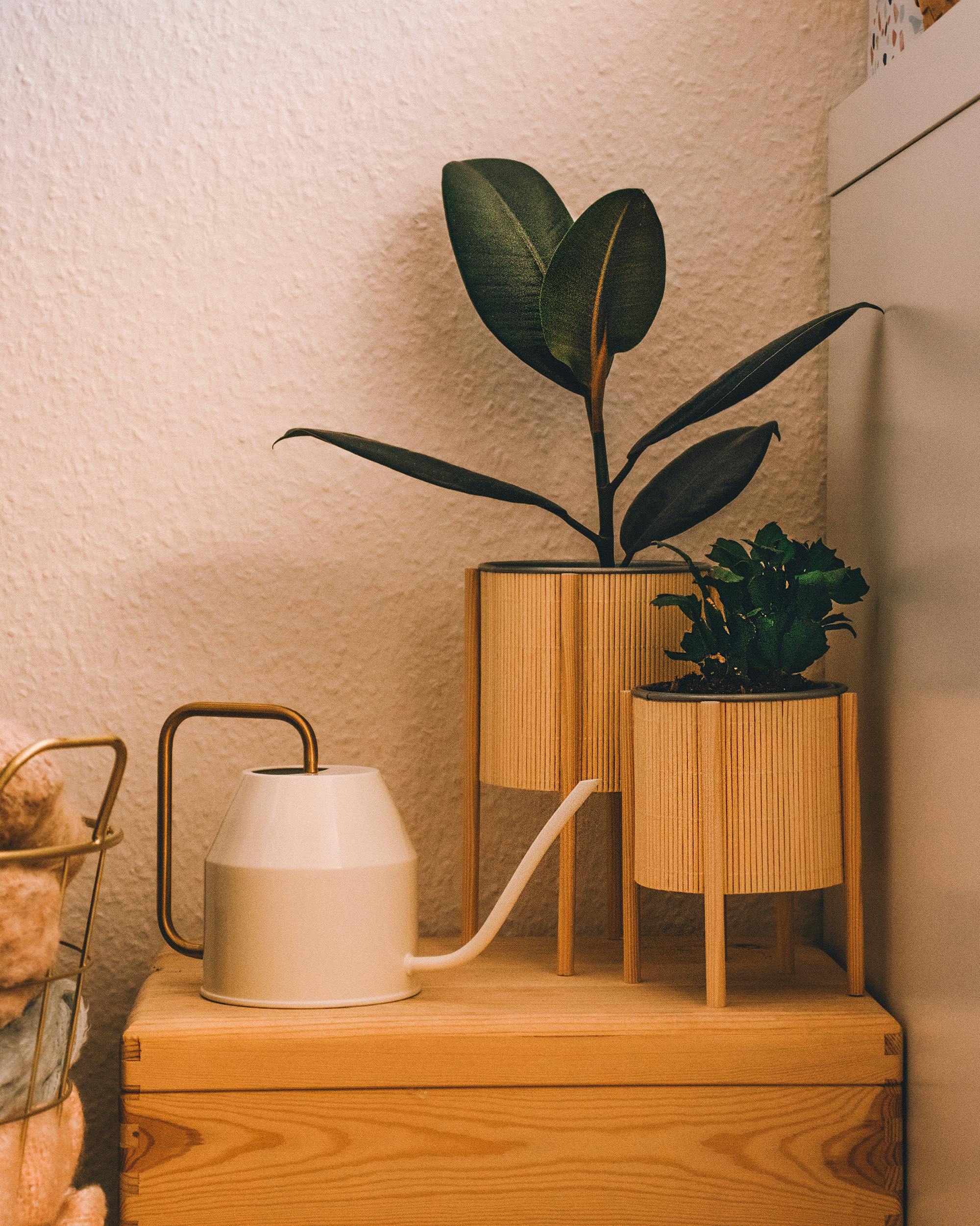 Decorative Indoor Planters Riyadh