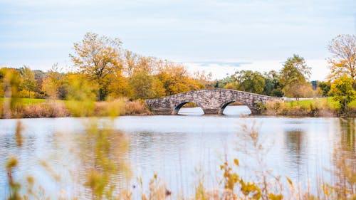 Каменный мост через реку в окружении пышной растительности
