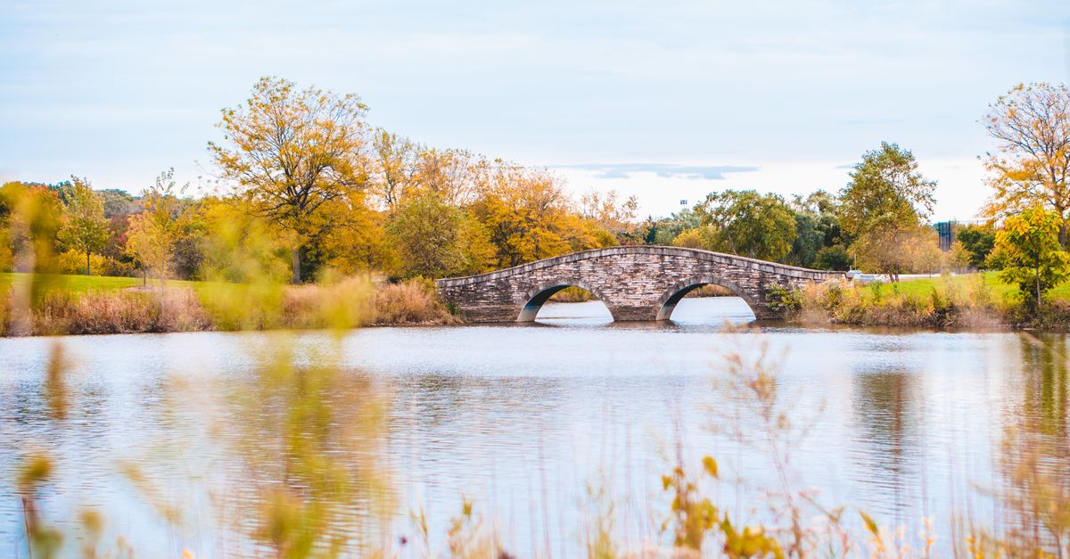 Scenic autumn bridge over calm waters reflecting fall foliage in a peaceful landscape.