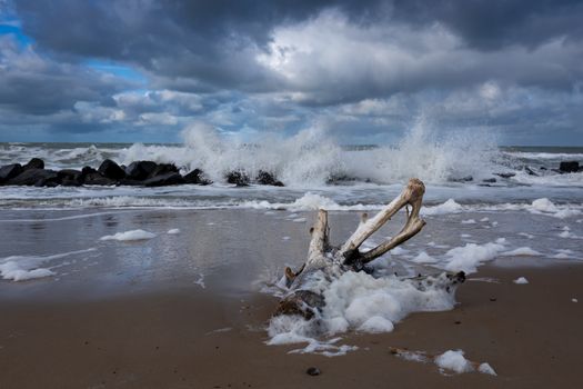Waves crash against a rocky shore under a dramatic sky, with driftwood and foam in the foreground.