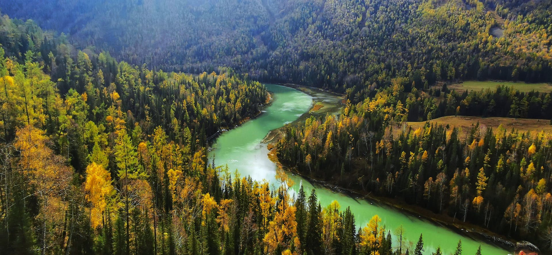 Aerial view of the winding Altay River surrounded by vibrant autumn forest in Xinjiang, China.