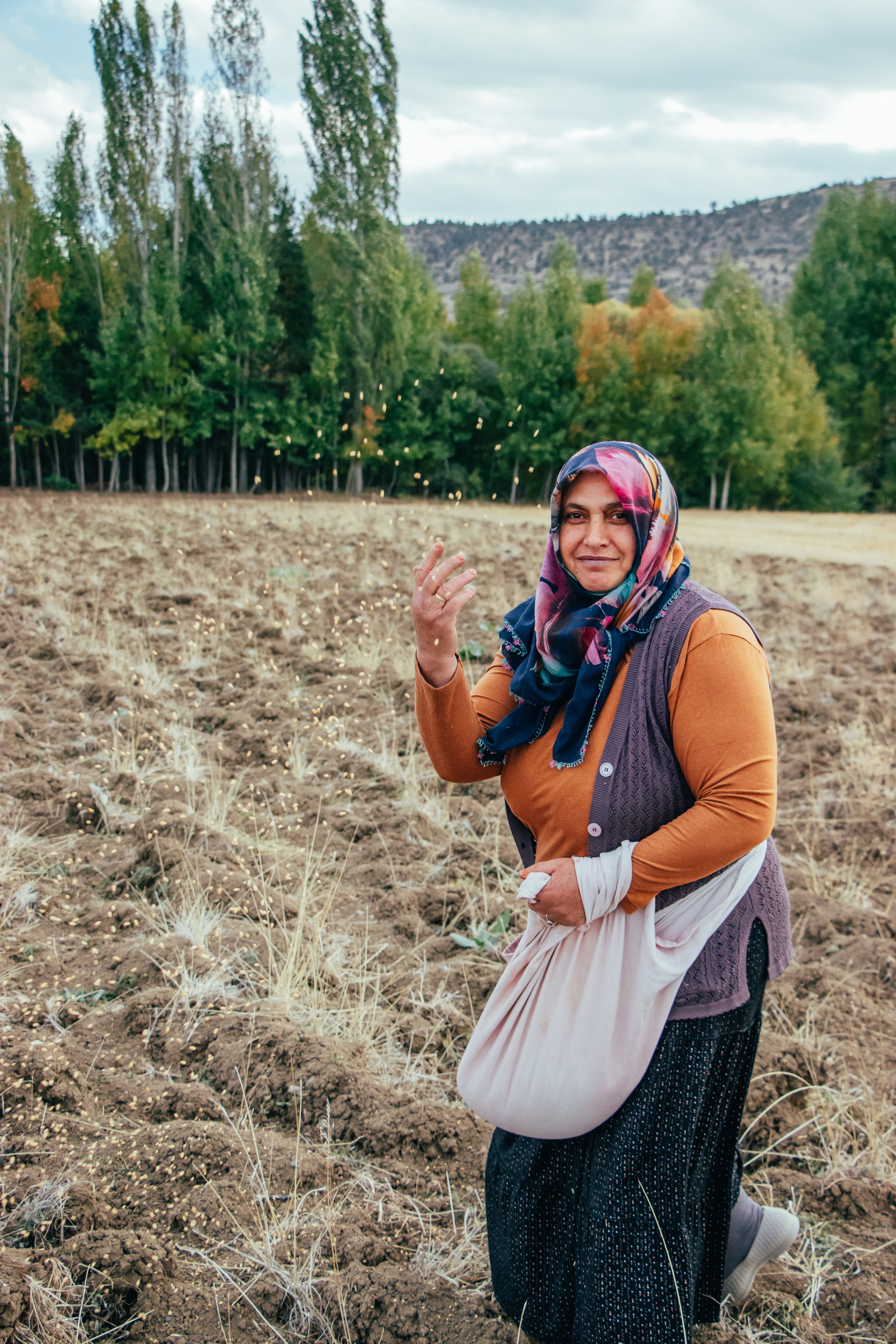 A woman sowing seeds in a field in Gümüşhane, Türkiye, during autumn.
