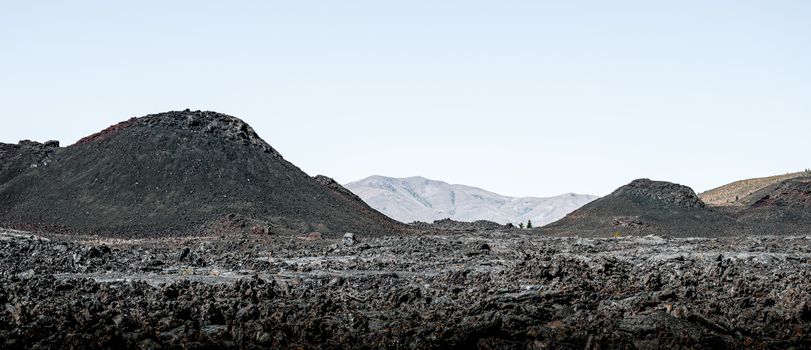 whakapapa scene