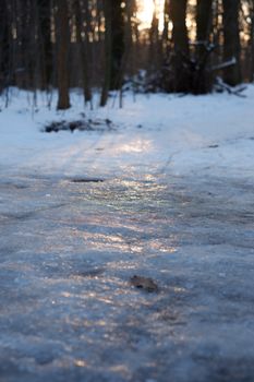 Glowing icy pathway through a snow-covered winter forest at dusk.