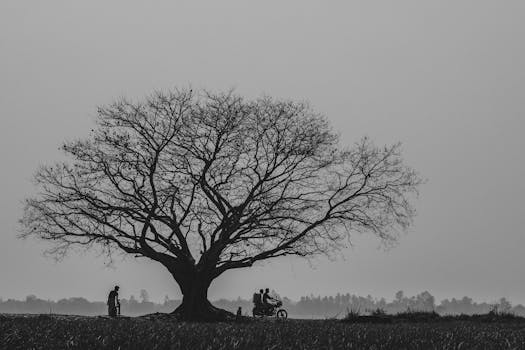 A tranquil, monochromatic scene of a silhouetted banyan tree and people, evoking solitude and quiet in rural Bangladesh.