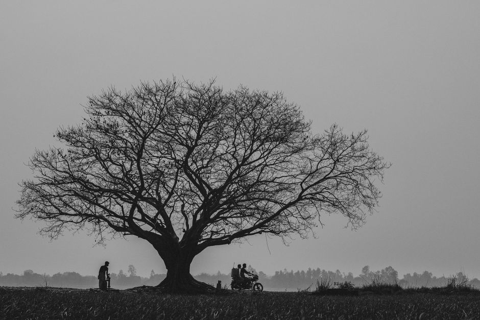 A tranquil, monochromatic scene of a silhouetted banyan tree and people, evoking solitude and quiet in rural Bangladesh.