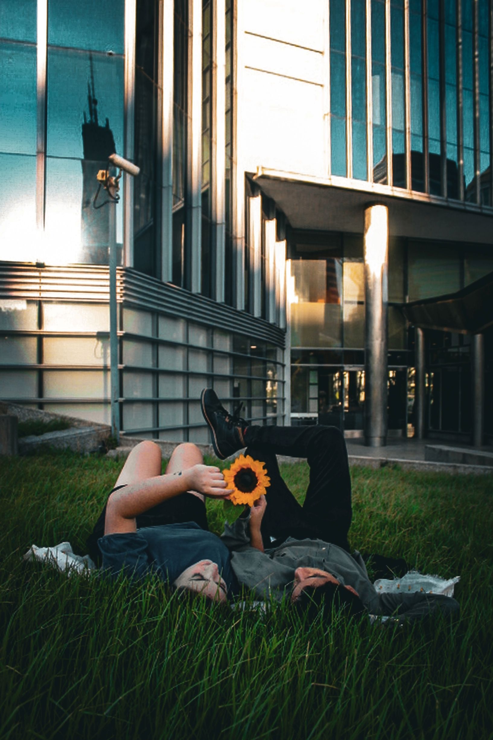 Couple lying on grass with sunflower in urban setting, Buenos Aires.