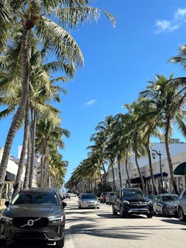 Scenic street with palm trees and cars under a clear blue sky in Beverly Hills.