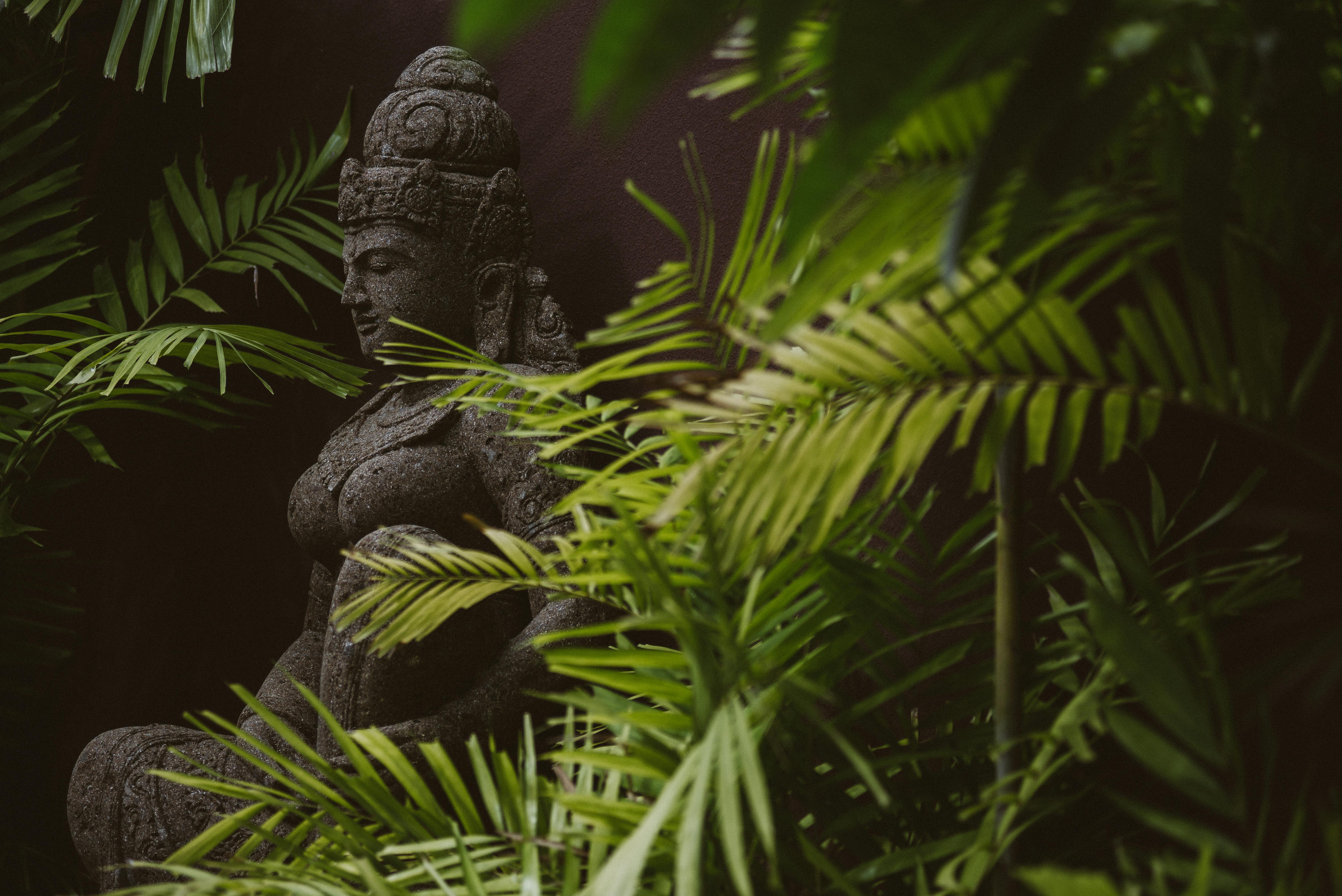 Une statue de Bouddha tranquille entourée d'une verdure luxuriante à Bali, en Indonésie, transmettant la paix et la sérénité.