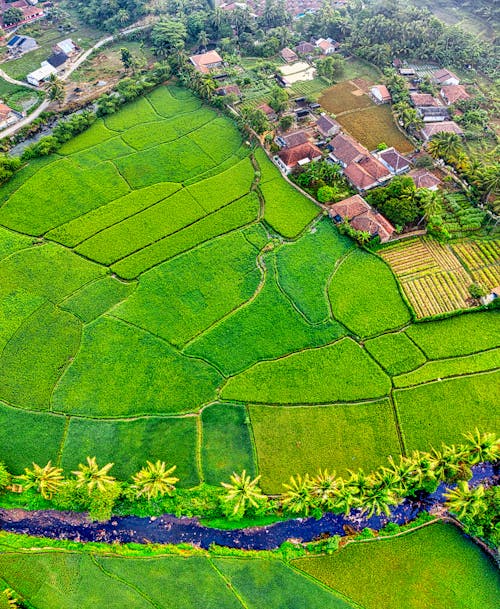 Aerial Shot Of Farmland