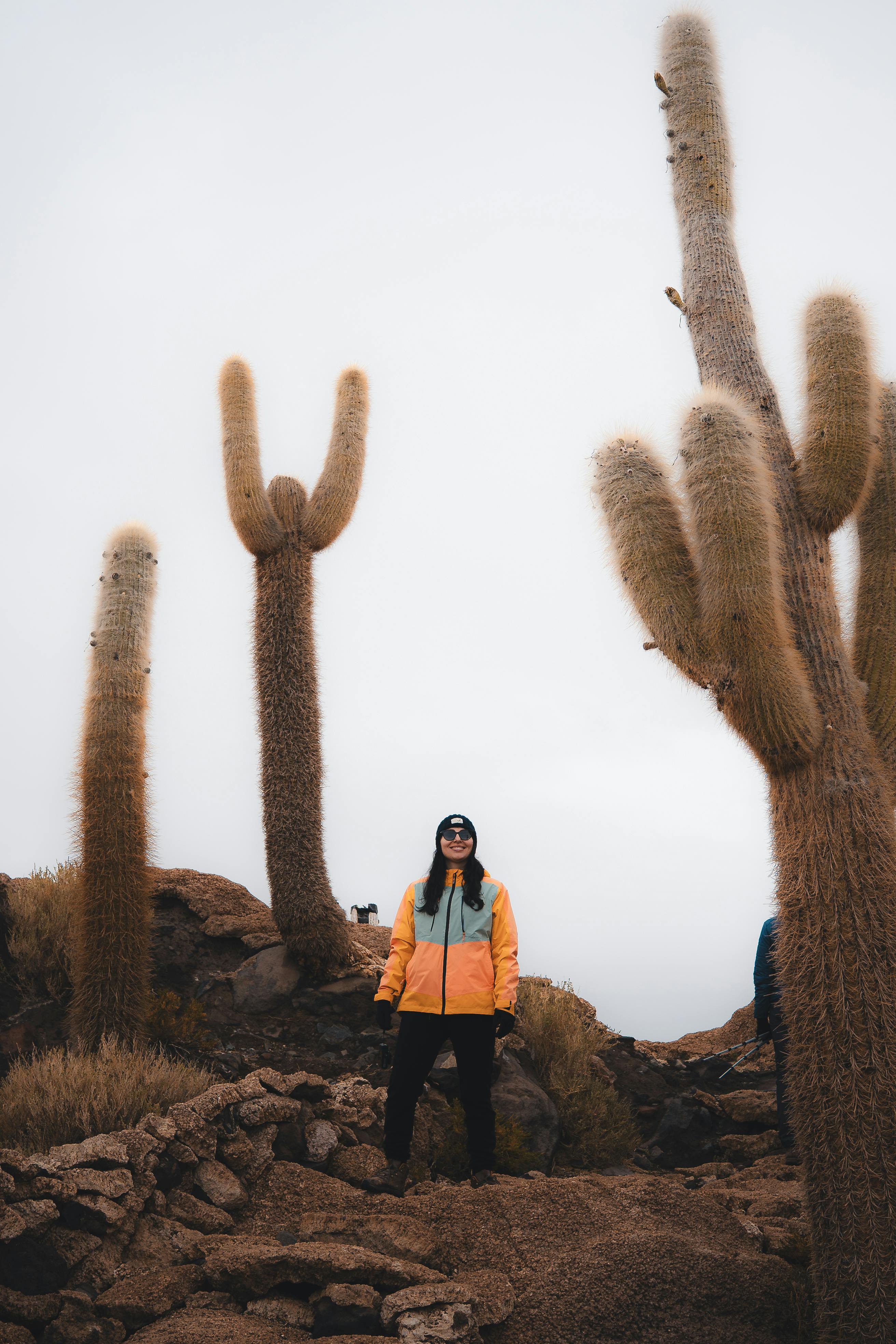 Person exploring the giant cacti of Uyuni, Bolivia, surrounded by rocky desert terrain.