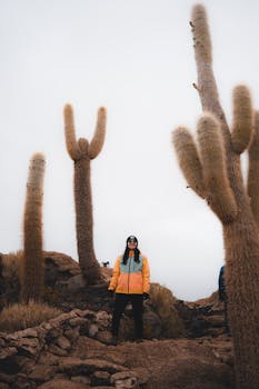 Person exploring the giant cacti of Uyuni, Bolivia, surrounded by rocky desert terrain.