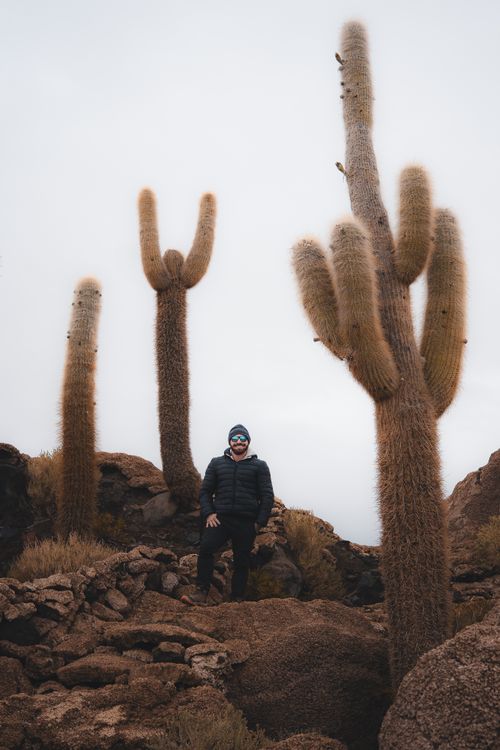 Free Traveler standing near towering cacti in the rugged terrain of Uyuni, Bolivia. Stock Photo