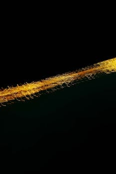 动态金色光线条纹在黑色背景上，非常适合抽象主题