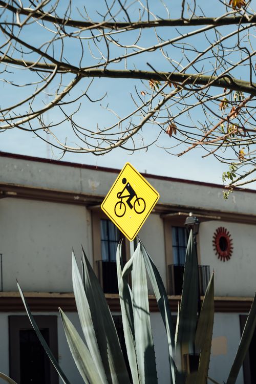 Free Bicycle caution sign among desert plants with building in the background. Stock Photo