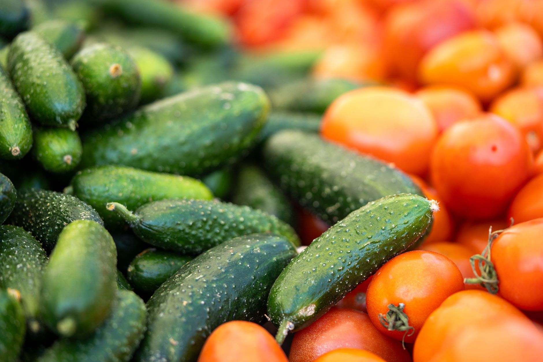 Cucumber Ripeness How to Tell When a Cucumber Is Ripe? - Chef's Resource