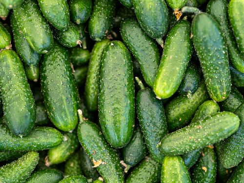 Free A close-up view of fresh green cucumbers piled together, perfect for salads and pickling. Stock Photo