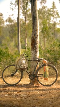A bicycle leaning against a tree carrying goods in a rural Santiniketan setting.