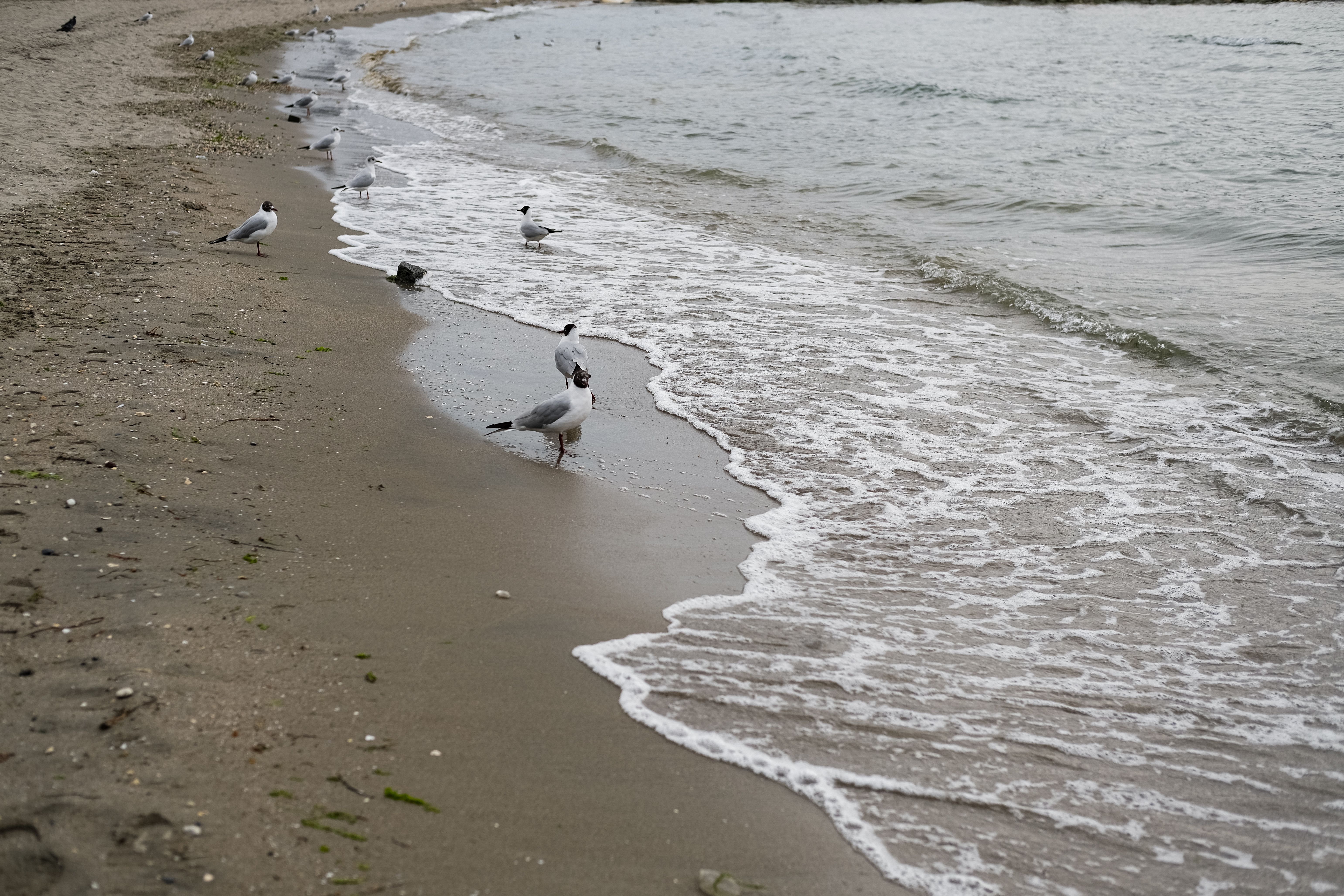 Herring Neck Beach view 2