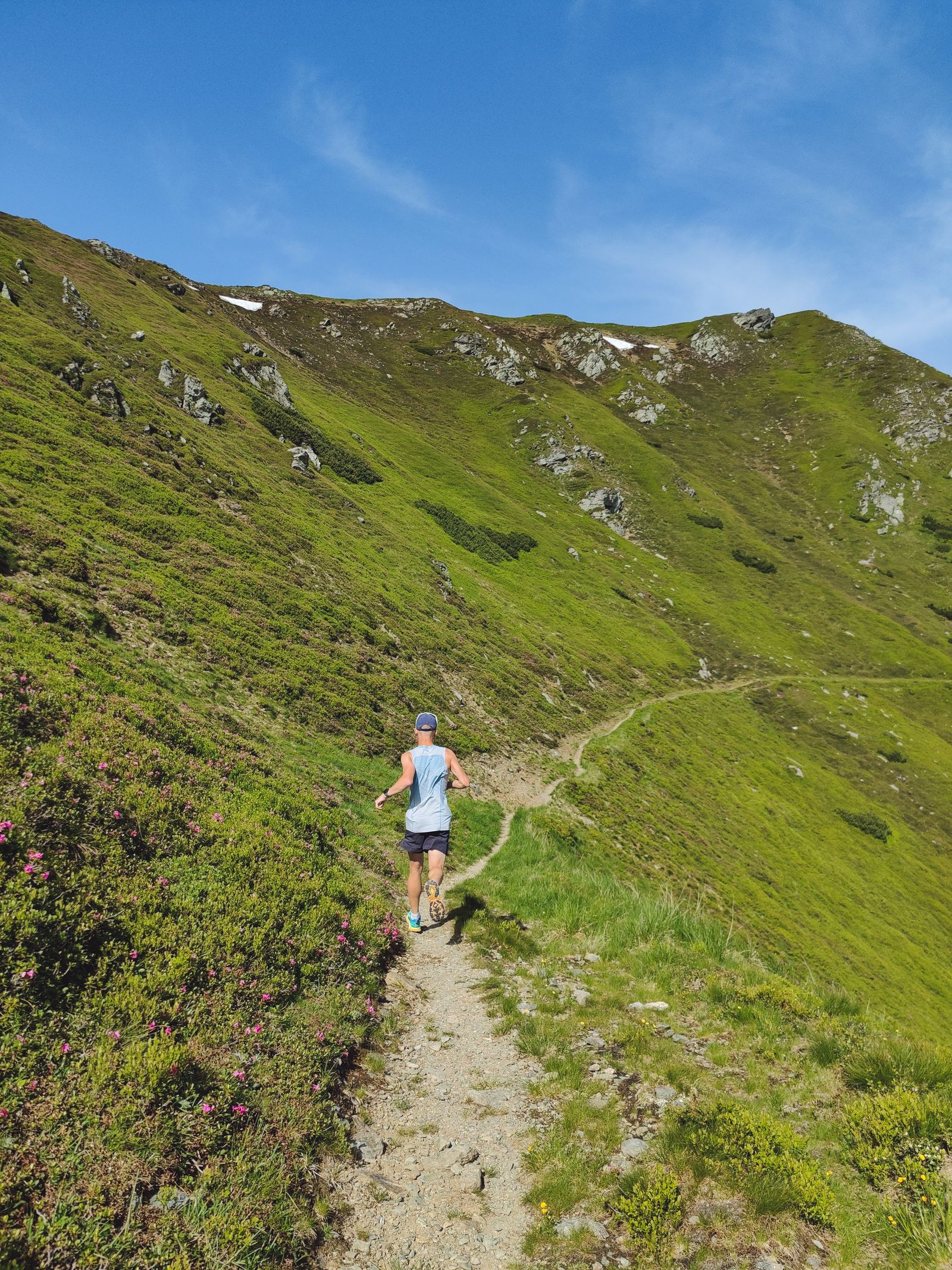 Trail runner moving away along a green mountain path