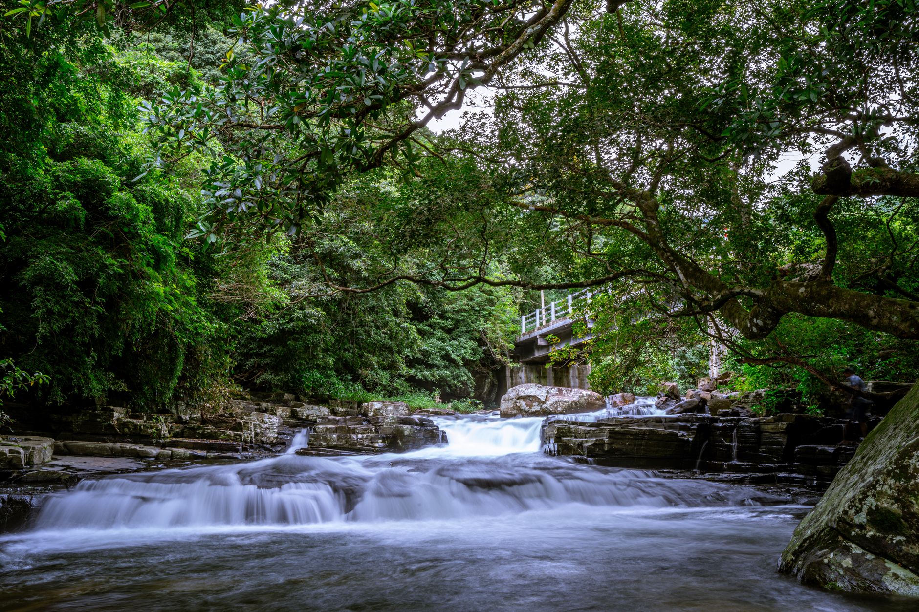Nightlife and evenings in Kitulgala