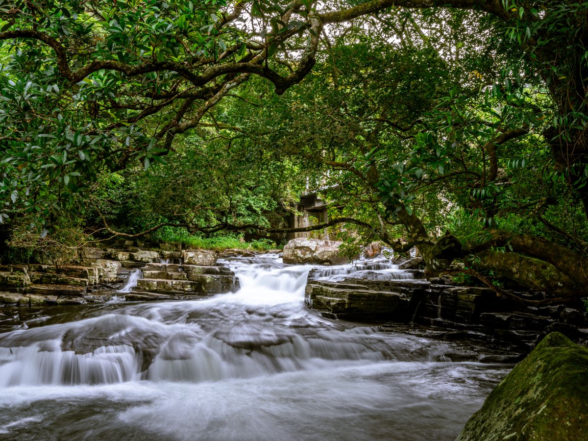 6 Day Yoga Retreat, A Sacred Journey of Renewal, Bali 2