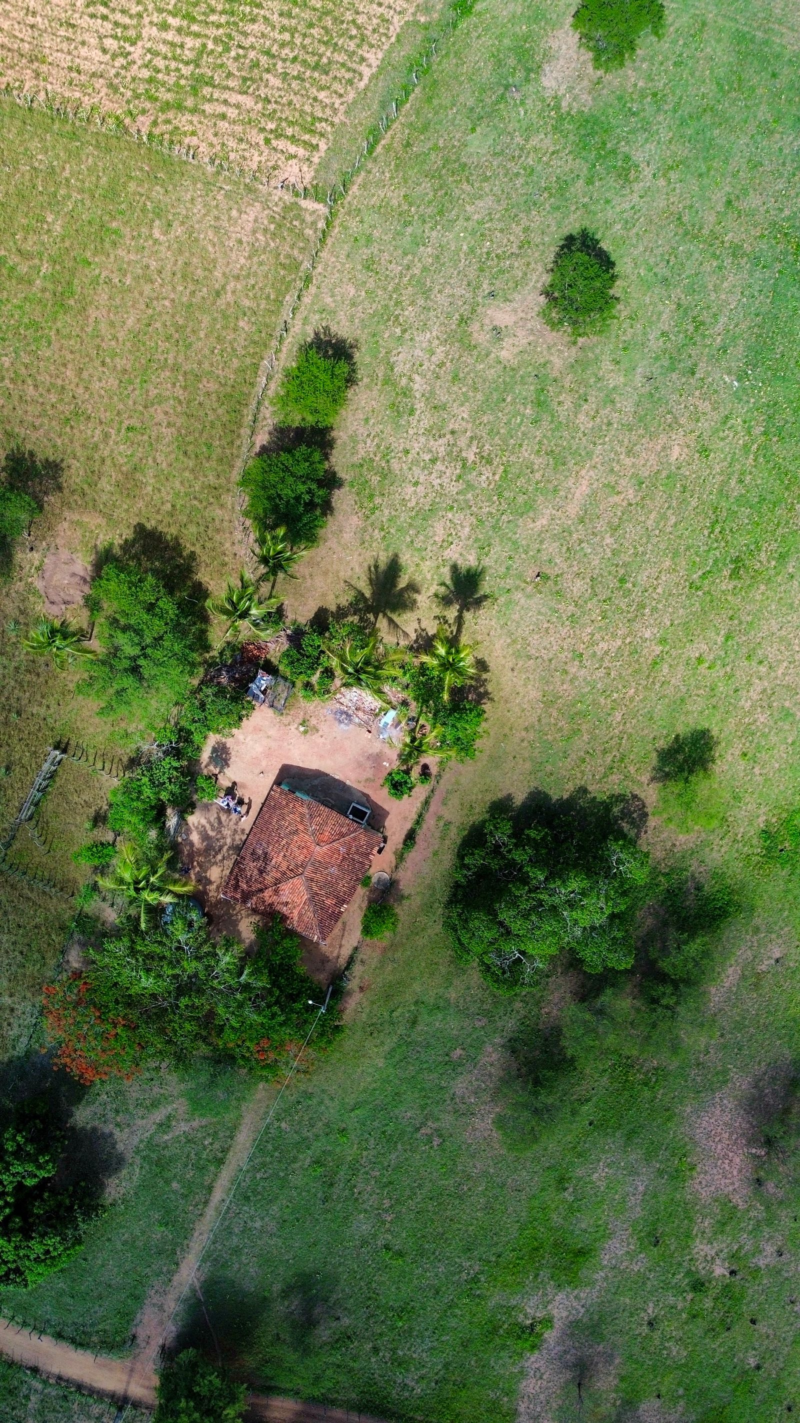 aerial-view-of-rural-landscape-in-alagoas-brazil-free-stock-photo