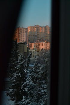 Snow-covered evergreen trees framing an urban sunrise behind apartment buildings.