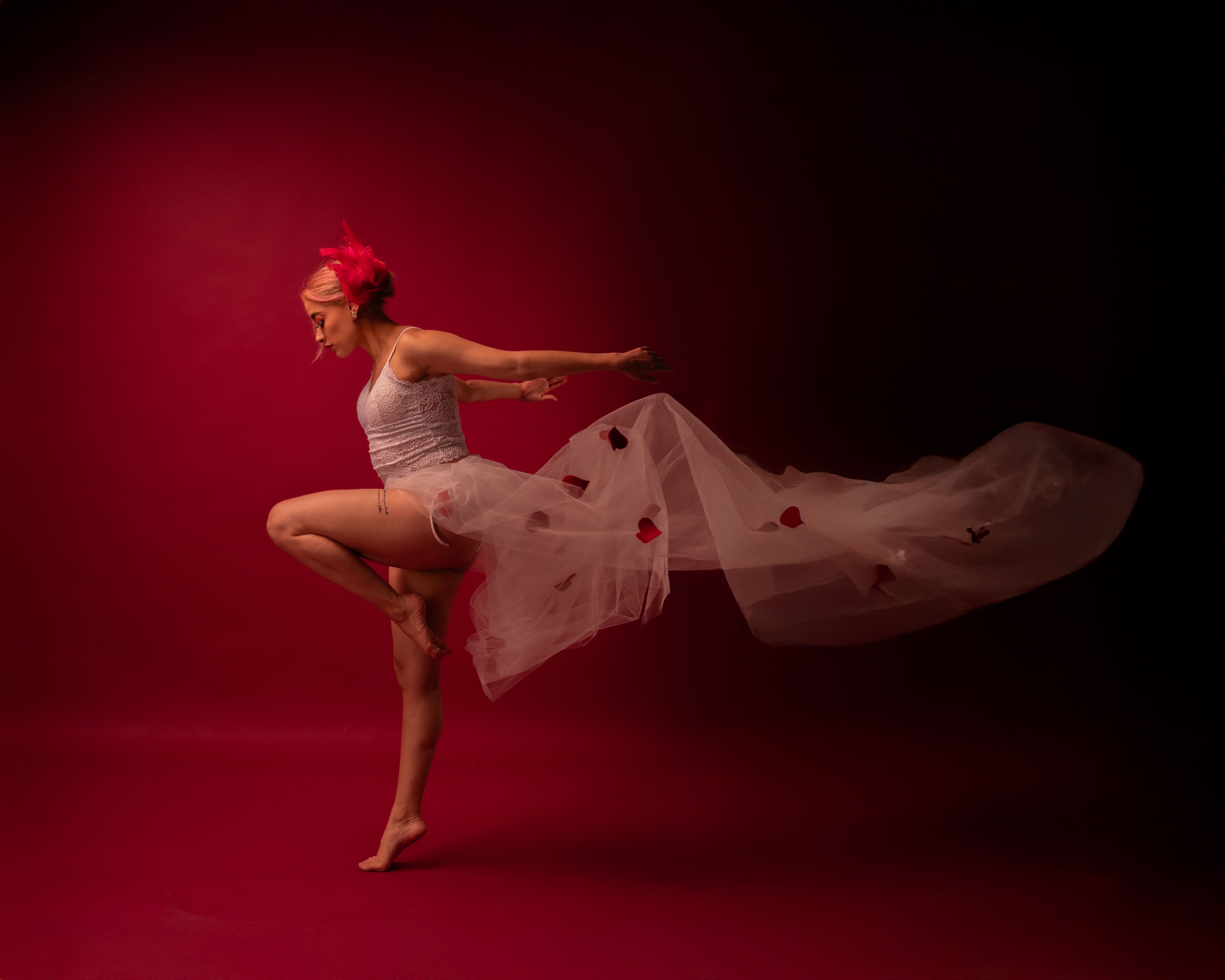 Elegant Ballet Dancer in Flowing Tulle on Red Background · Free Stock Photo