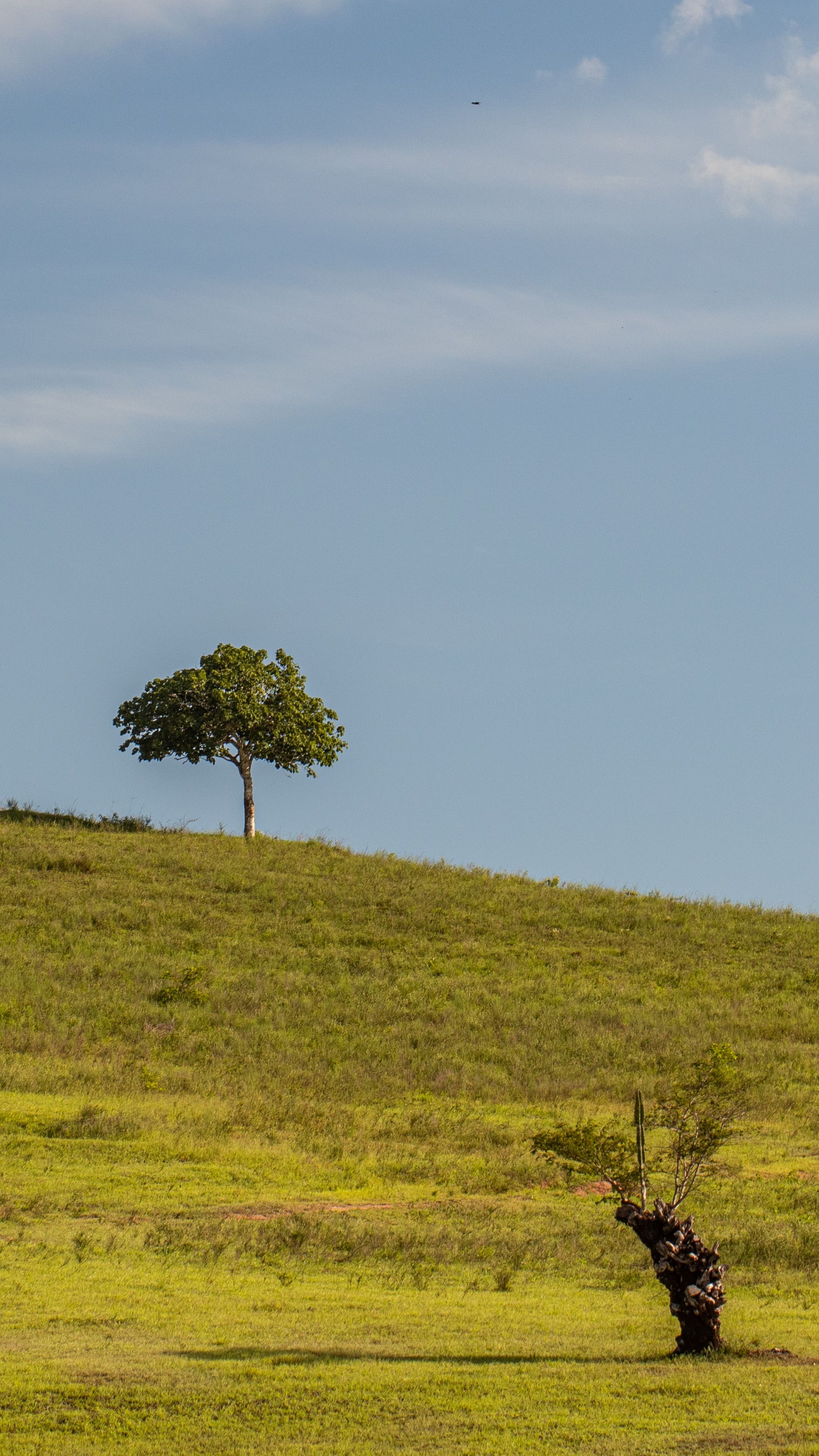 A natureza contra a tecnologia: os fenómenos que estão a travar as centrais europeias