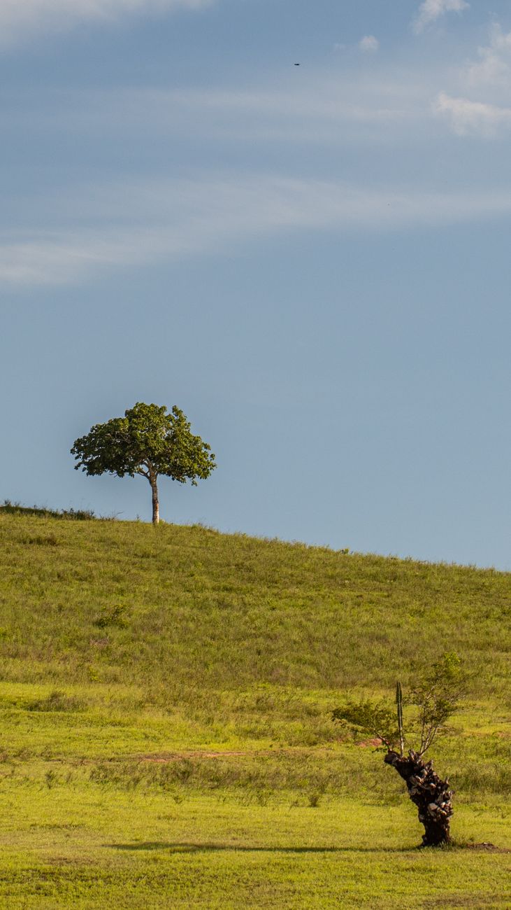 A natureza contra a tecnologia: os fenómenos que estão a travar as centrais europeias