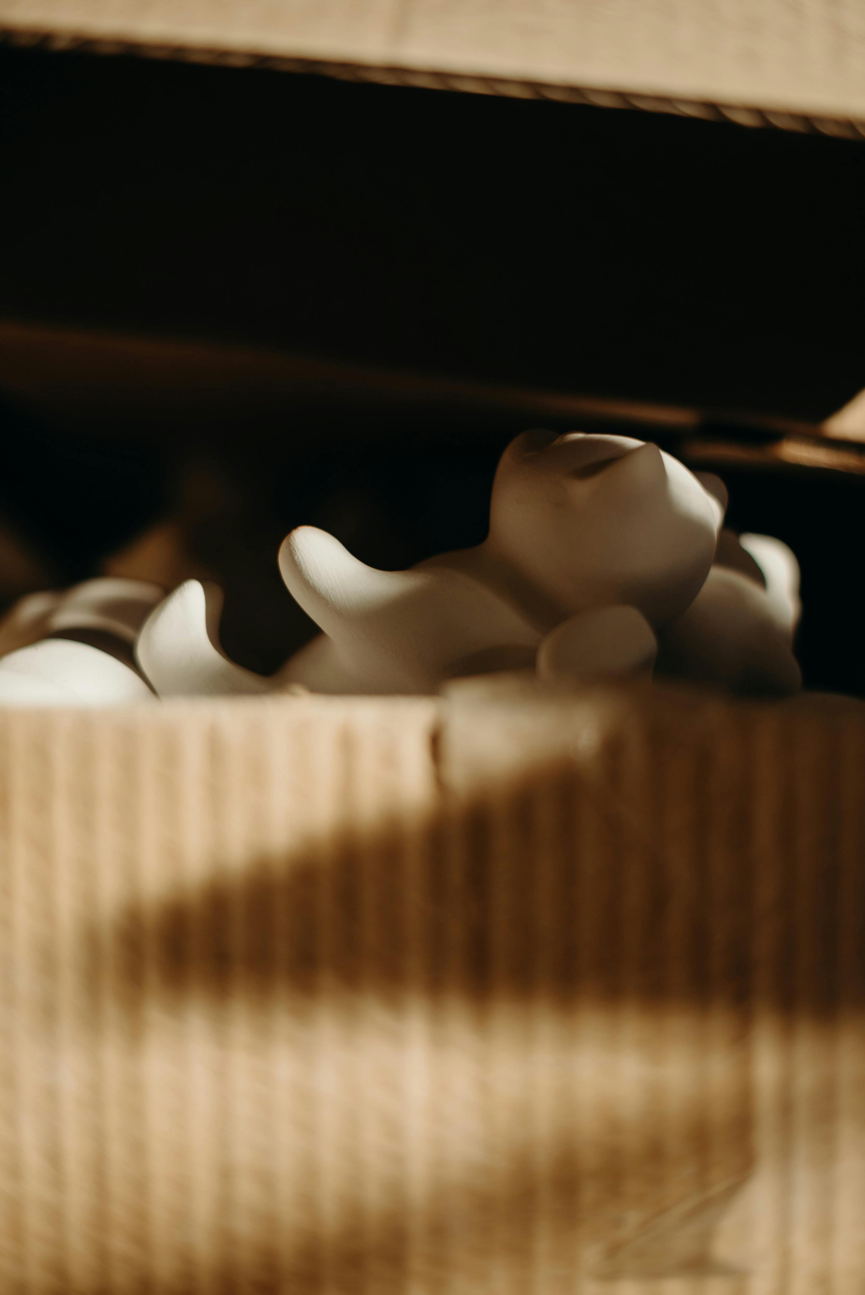 Komponen Utama CSS Box Model