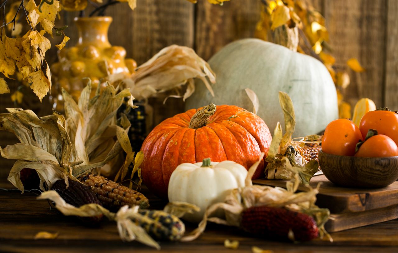 still life of pumpkins and gourds with autumn leaves capturing the ess
