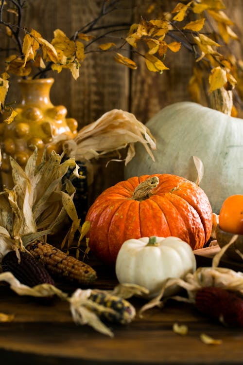 Free Pumpkins On A Table Stock Photo