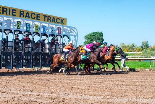 Horses bolt from starting gates at Erie Race Track, jockeys poised for competition.