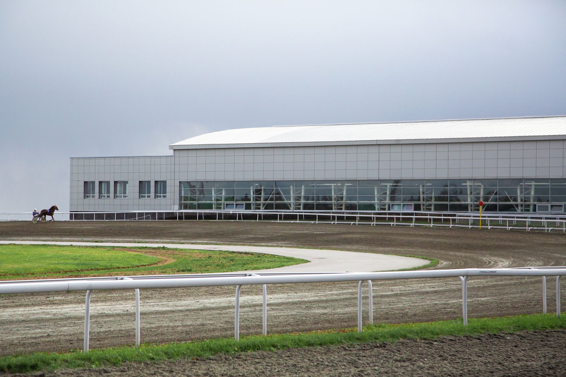 A lone horse gallops on a racing track beside a modern structure under overcast skies.