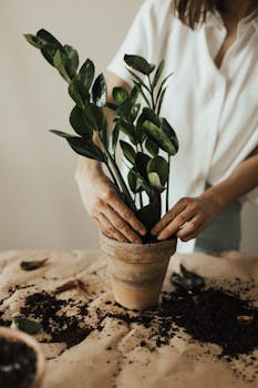 Person Arranging Pot Plant with the Quote "If one does not know to which port one is sailing, no wind is favorable." written on it and have average color value #867C6B