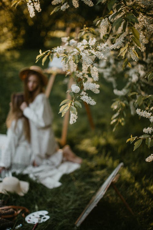 Fotobanka s bezplatnými fotkami na tému hĺbka ostrosti, jarné kvety, lístie