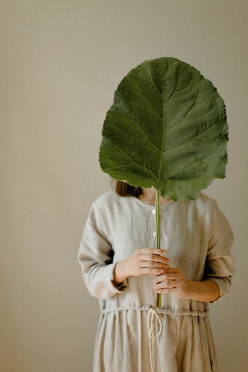 Free Person Holding a Big Leaf Covering His Face Stock Photo