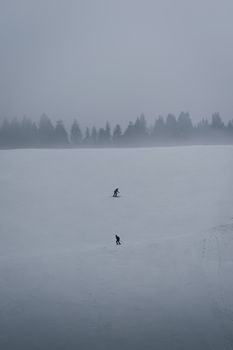 Two skiers navigate a snowy landscape surrounded by fog and distant trees.