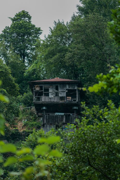 Free An isolated wooden cabin nestled within lush greenery in a dense forest environment. Stock Photo