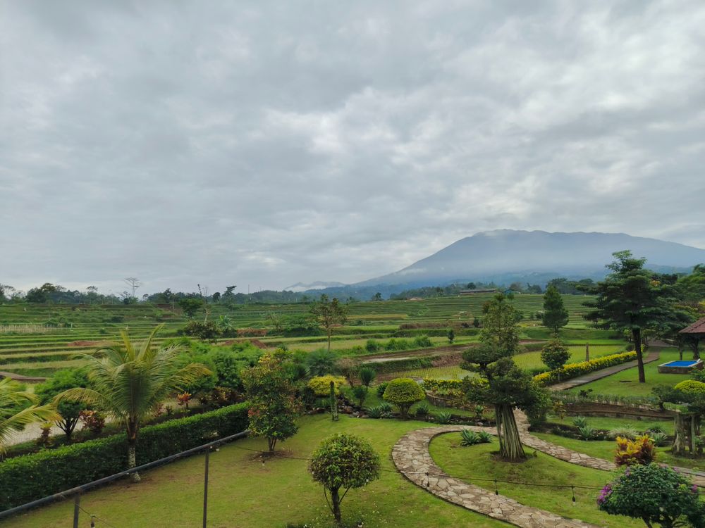 West Java Scenery Scenic Agricultural Fields in West Java, Indonesia · Free Stock Photo