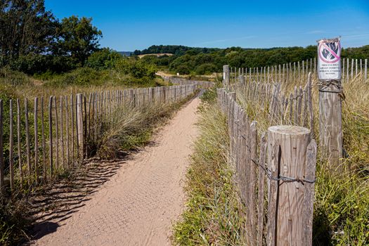 Ontdek het zandpad geflankeerd door hekken en wilde vegetatie in Dawlish Warren, Verenigd Koninkrijk.