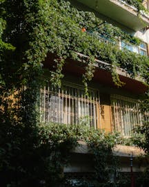 Free stock photo of abandoned building, balcony plants, building