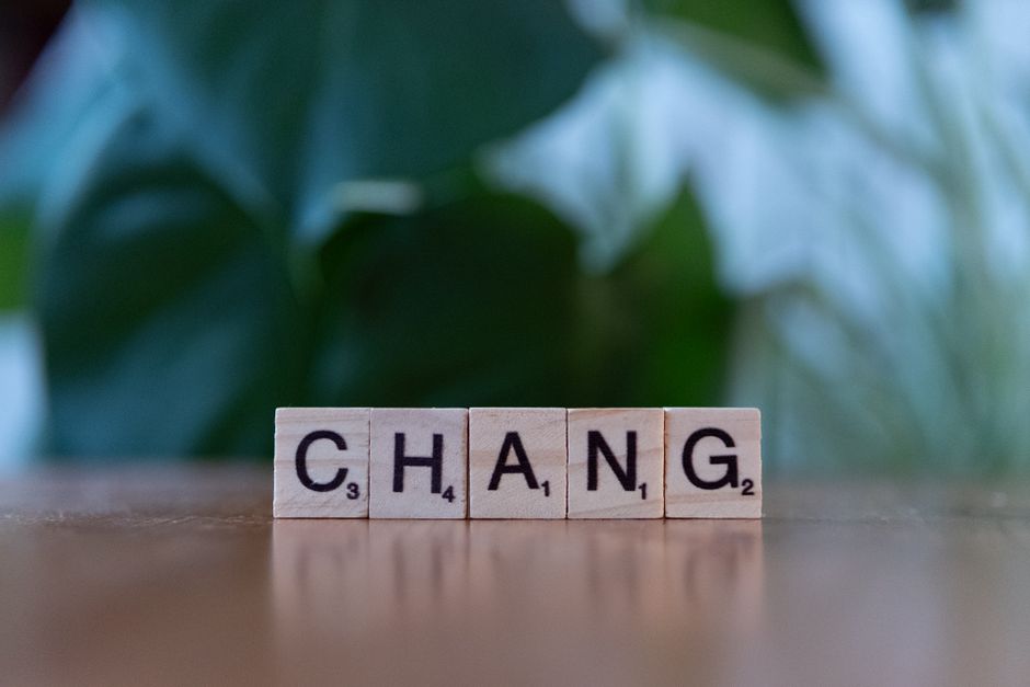 背景に緑の植物がある木製の表面に「Chang」と書かれたスクラブル文字タイル。
