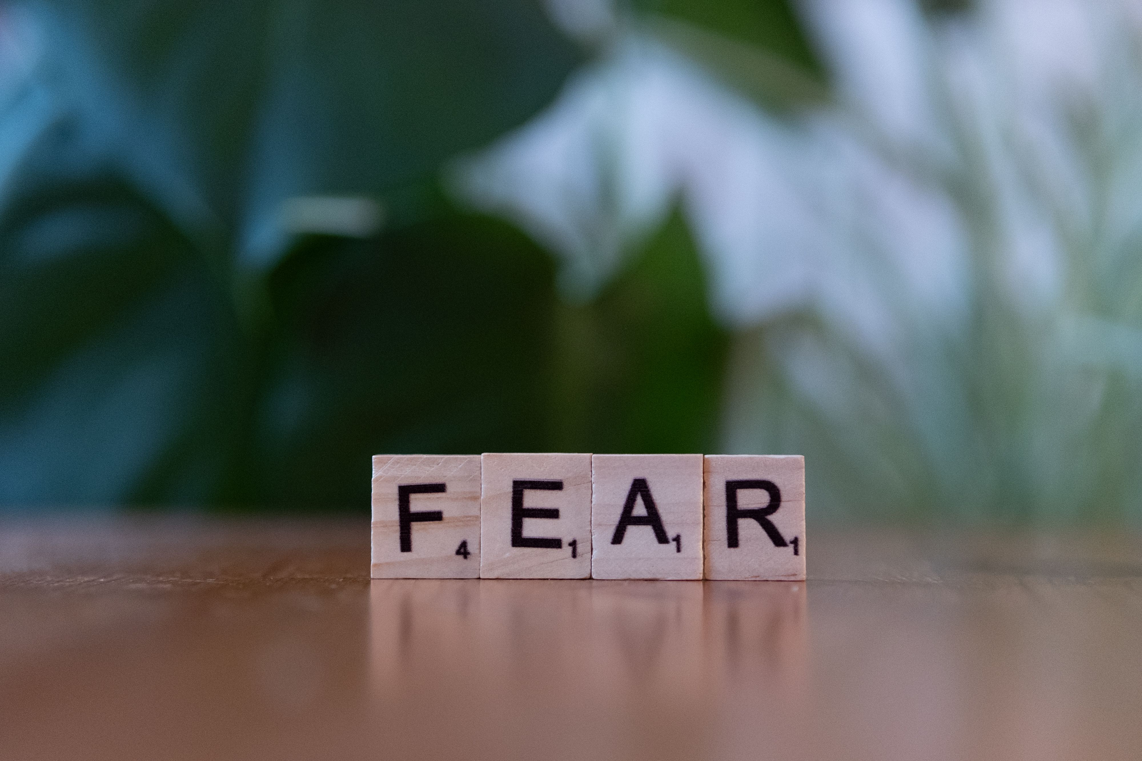 Miễn phí Khối chữ cái bằng gỗ đánh vần 'FEAR' trên bàn với nền xanh mờ. Nhấn mạnh cảm xúc và thử thách. Ảnh lưu trữ