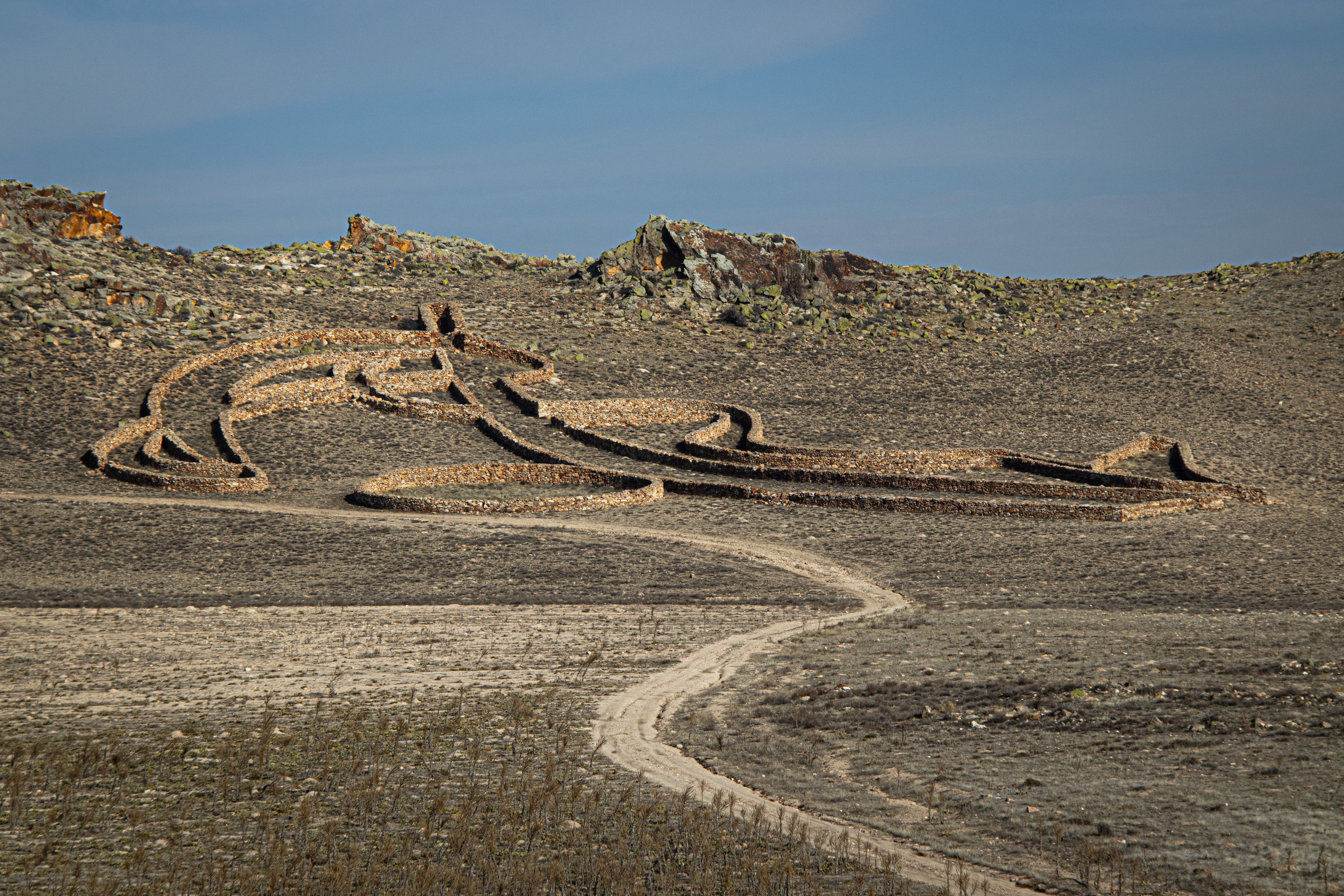 Ancient Horse Geoglyph in Arid Landscape · Free Stock Photo
