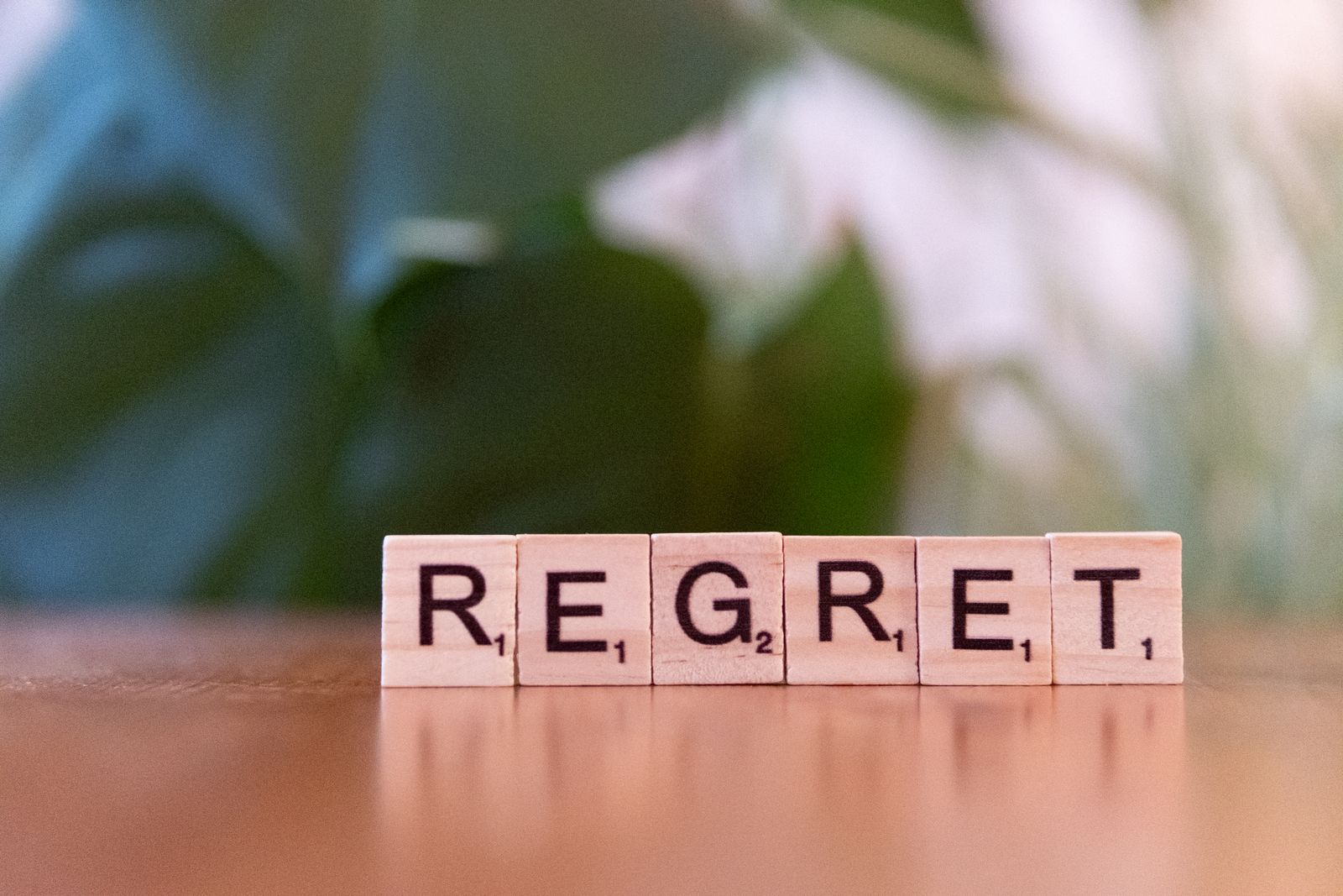 Regret Photos, Download The BEST Free Regret Stock Photos & HD Images