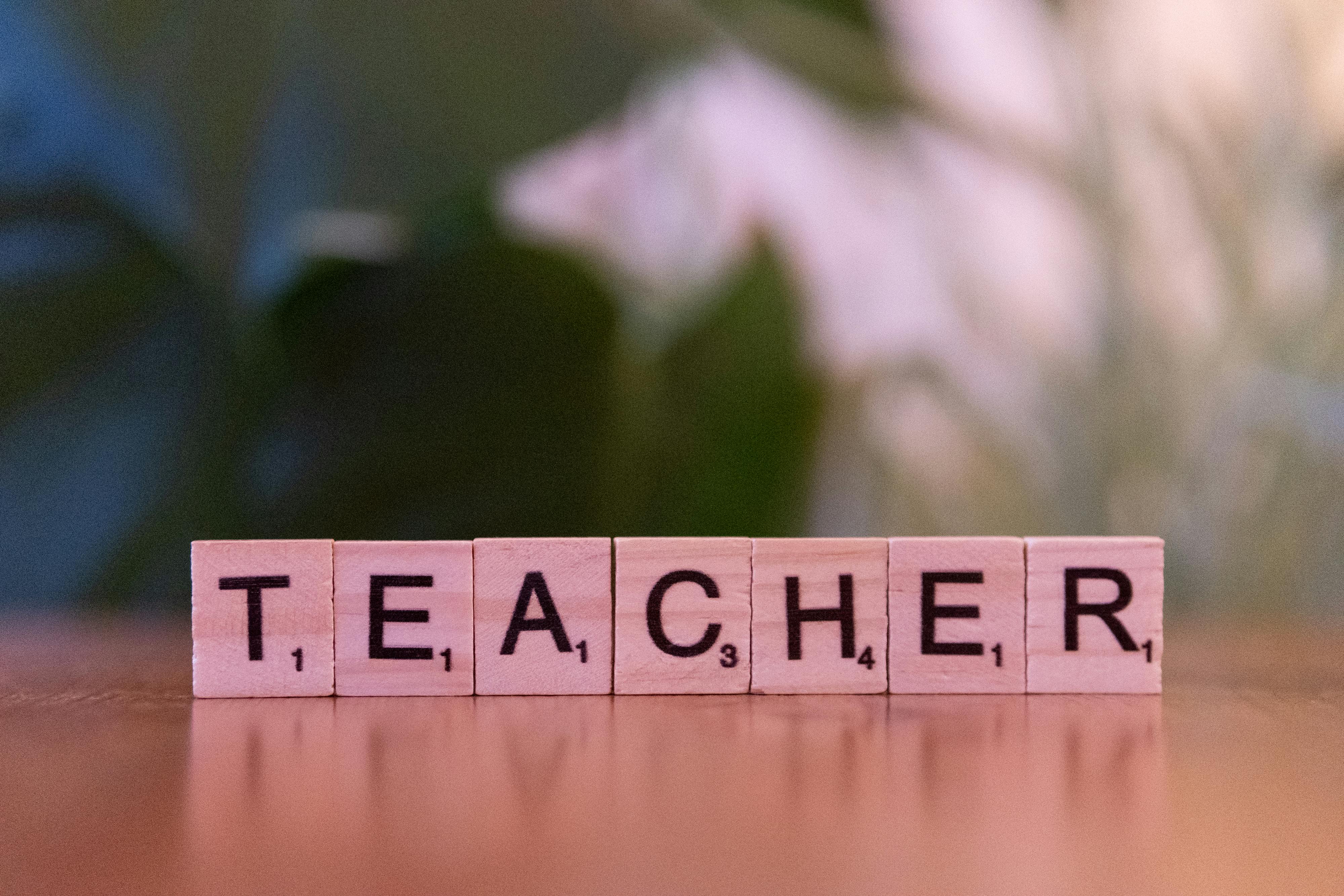 What Evolution Can Teach Us About Stronger Relationships — Photo by Markus Winkler on Pexels